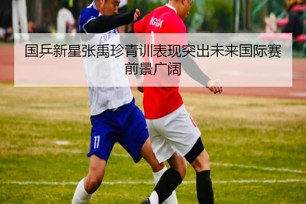 国乒新星张禹珍青训表现突出未来国际赛前景广阔