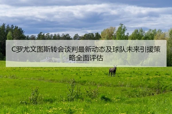 C罗尤文图斯转会谈判最新动态及球队未来引援策略全面评估